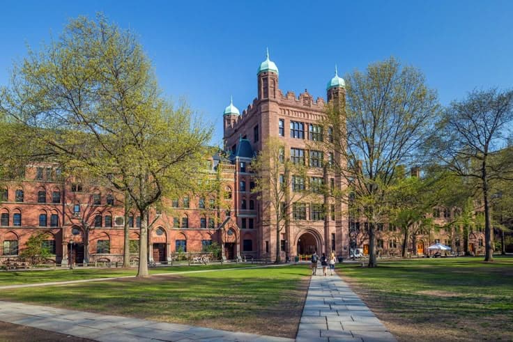 university